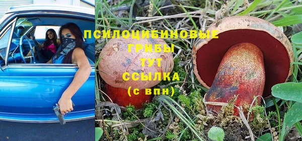 прущая мука Абаза