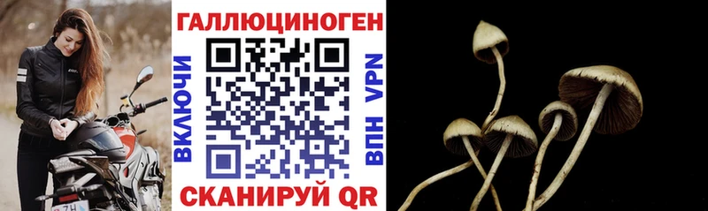 Галлюциногенные грибы Psilocybine cubensis  цены наркотик  Орск 