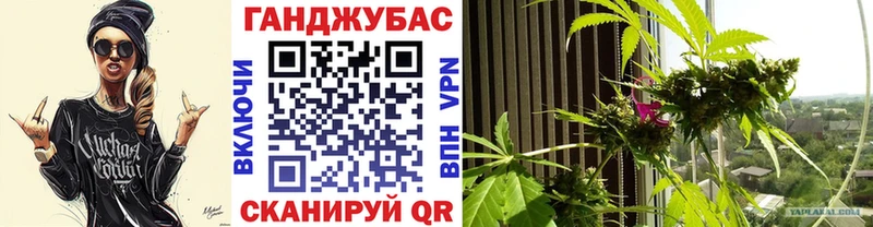 Бошки Шишки THC 21%  дарнет шоп  Орск 